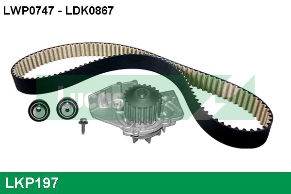 LKP197