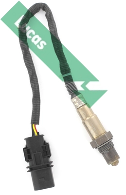 LEB5310