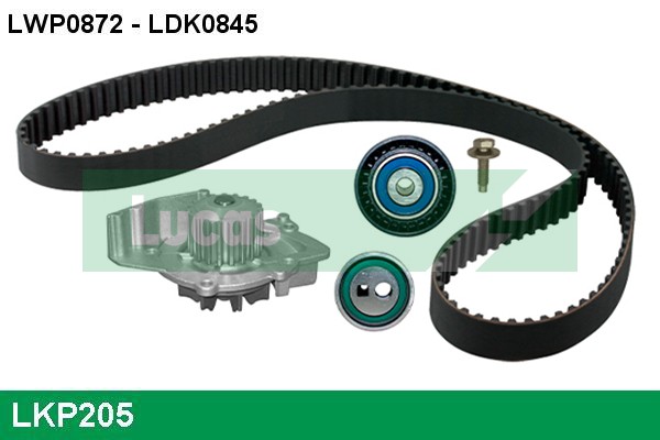 LKP205