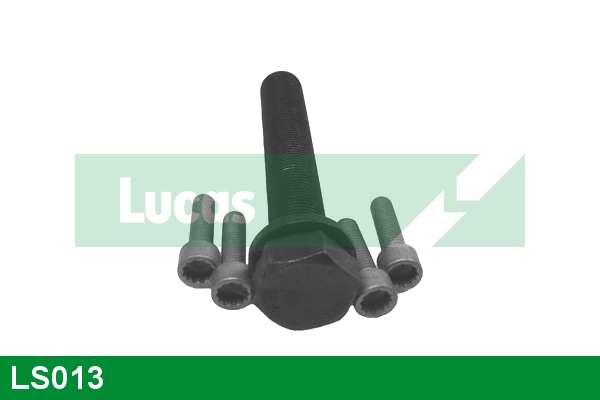 LS013