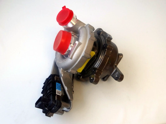 LTRPA8294403