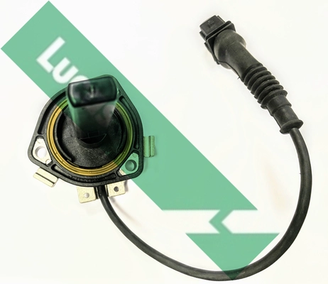 LLS309