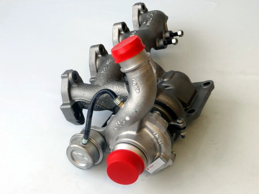 LTRPA8024198
