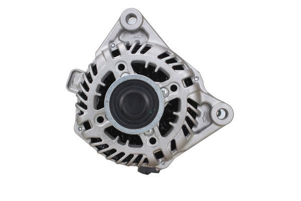 CGB-10781