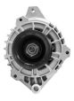 CGB-13019
