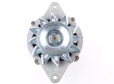 CGB-13387