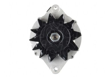 CGB-13296
