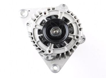 CGB-13039