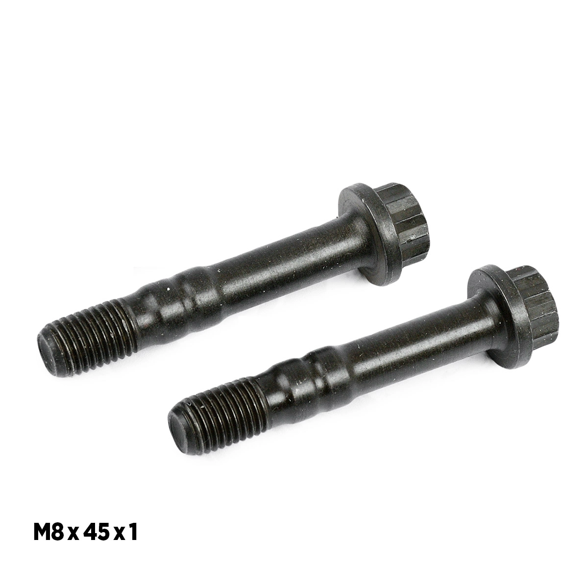 BS0019