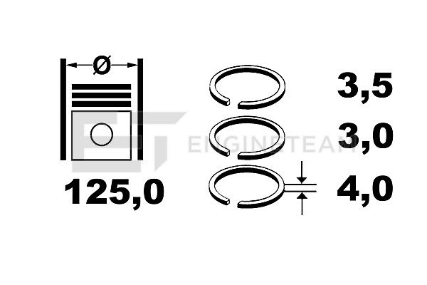 R1008300