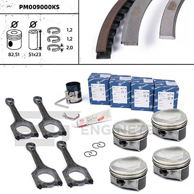 PM009000KS