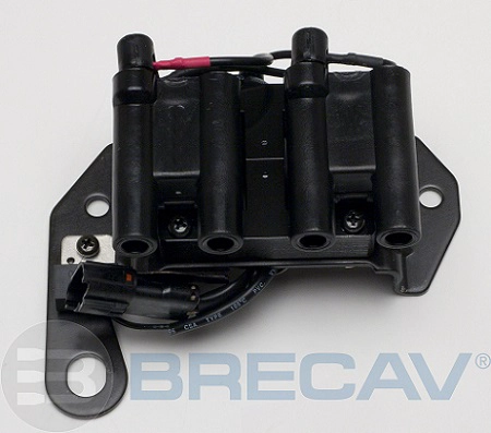 IIS205