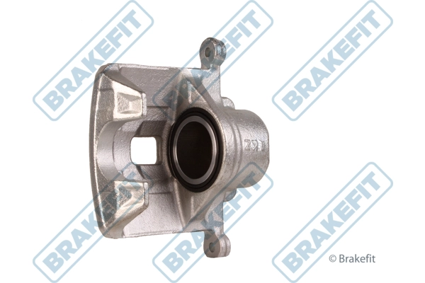 BCA1197