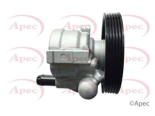 APS1006