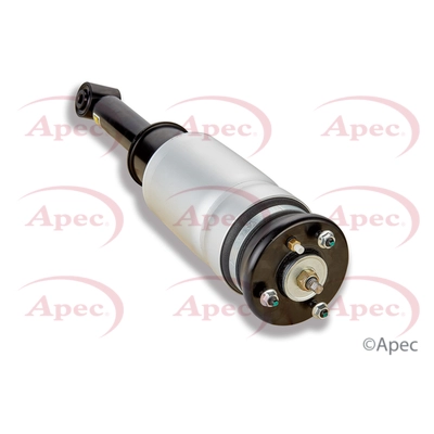AAS1004