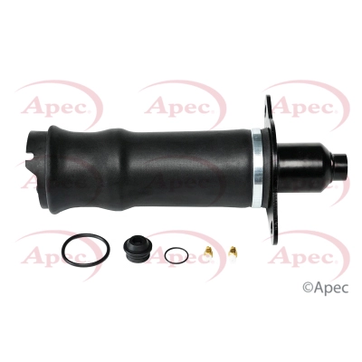 AAS1028