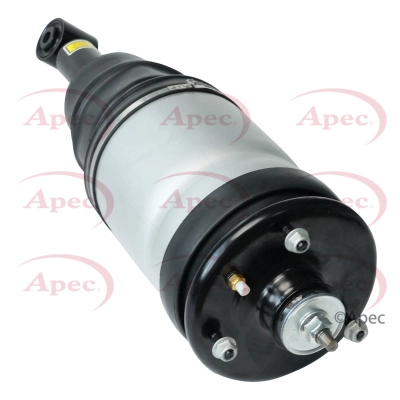 AAS1016