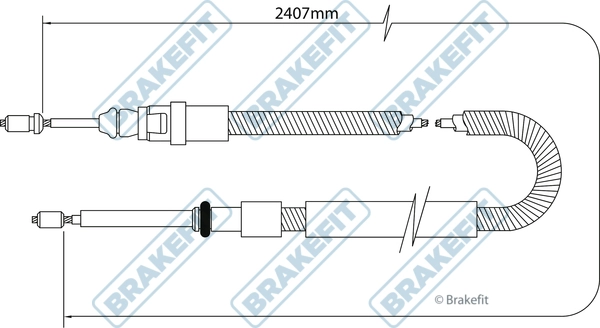 BBC3036