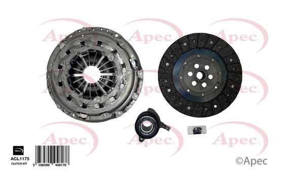 ACL1175