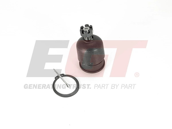 101163EGT