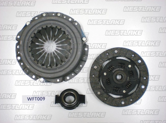 WFT009
