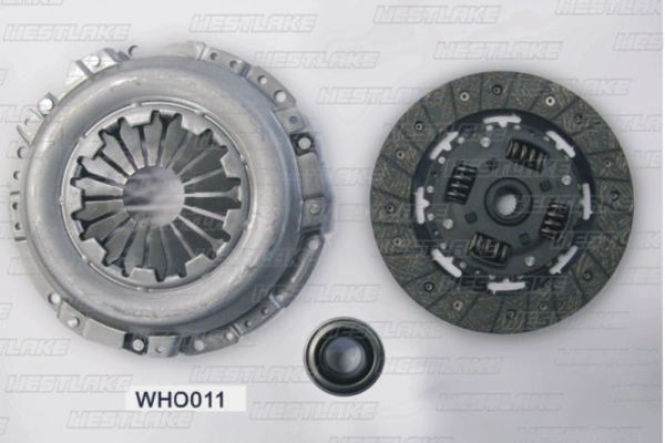 WHO011