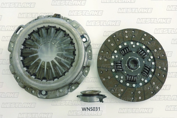 WNS031