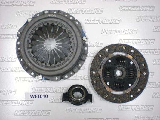 WFT010