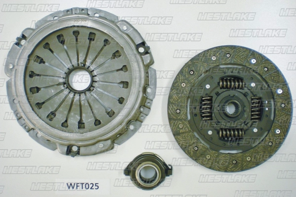 WFT025