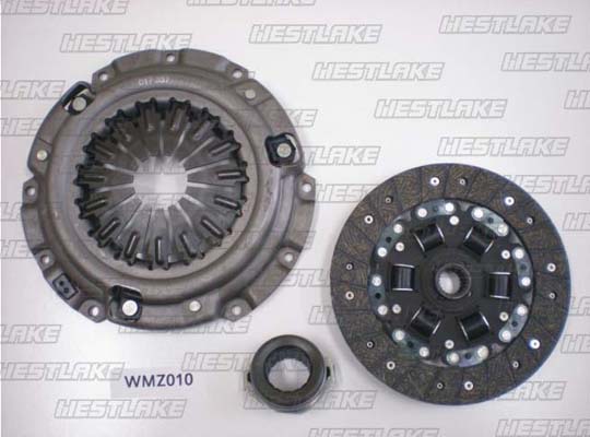 WMZ010