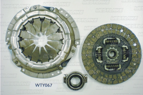 WTY067