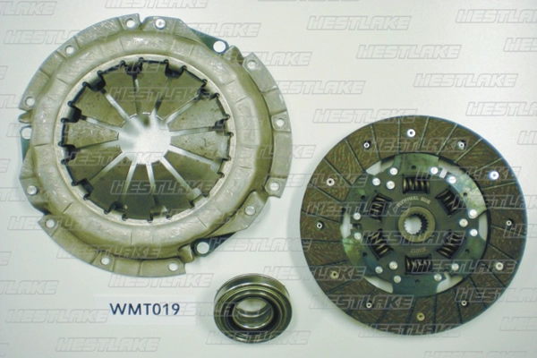 WMT019