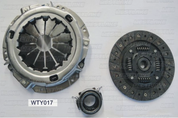 WTY017