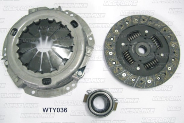 WTY036