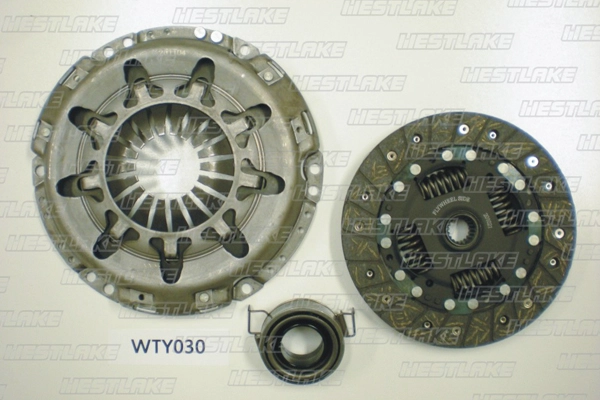 WTY030