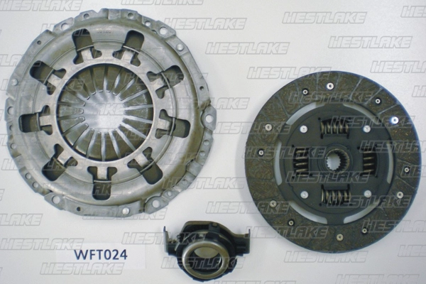 WFT024