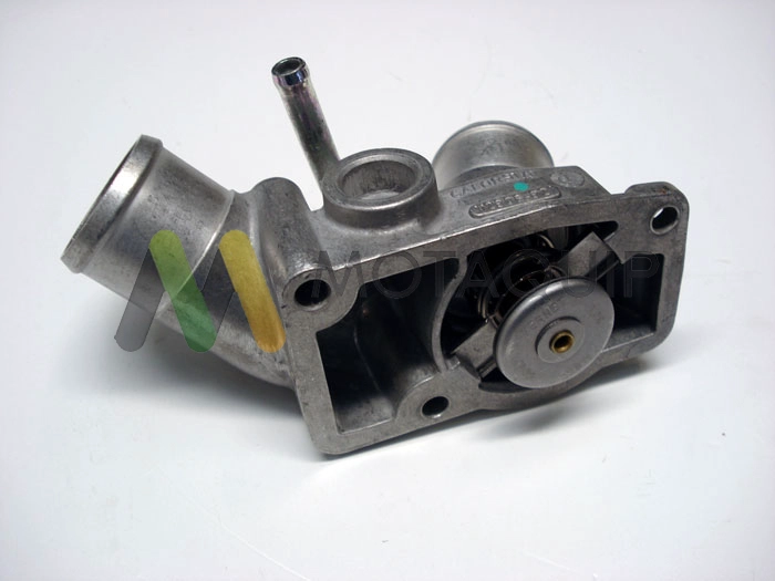 VTK174