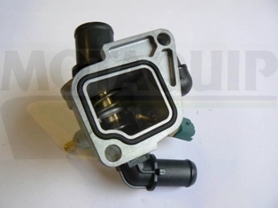 VTK119