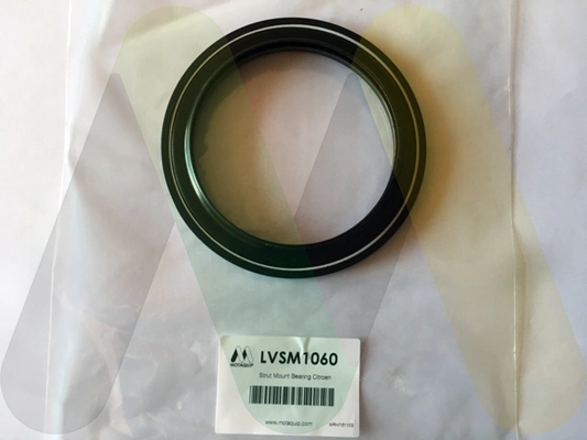 LVSM1060