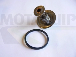 VTK179