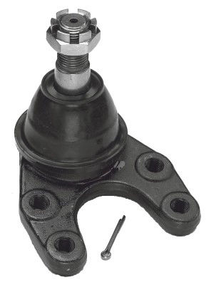 LVSJ636