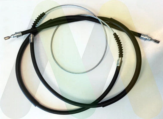 LVVB1698