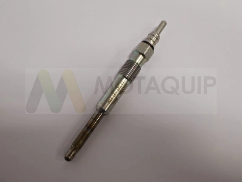 LVGP217