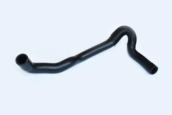 55803