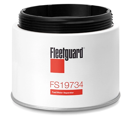 FS19734