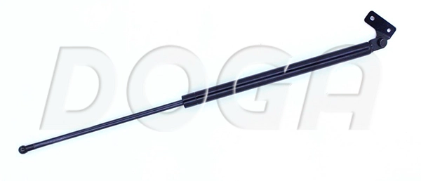 8BG563620