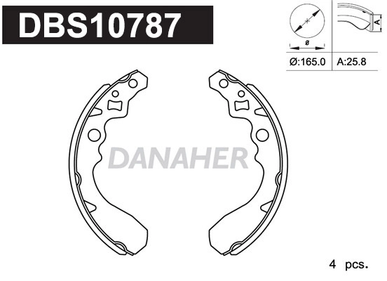 DBS10787