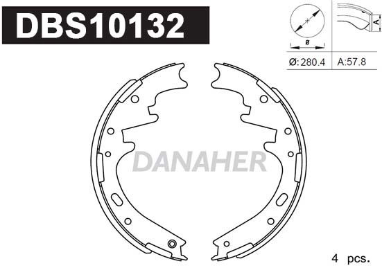 DBS10132
