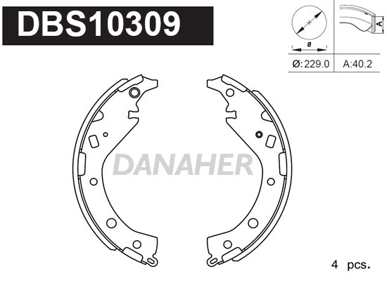 DBS10309