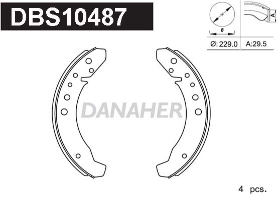 DBS10487